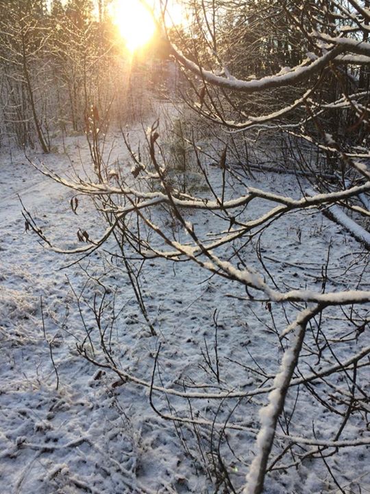 fb-2017-12-06-kaunista-itsenaisyyspaivaaf09f87abf09f87ae-jpg