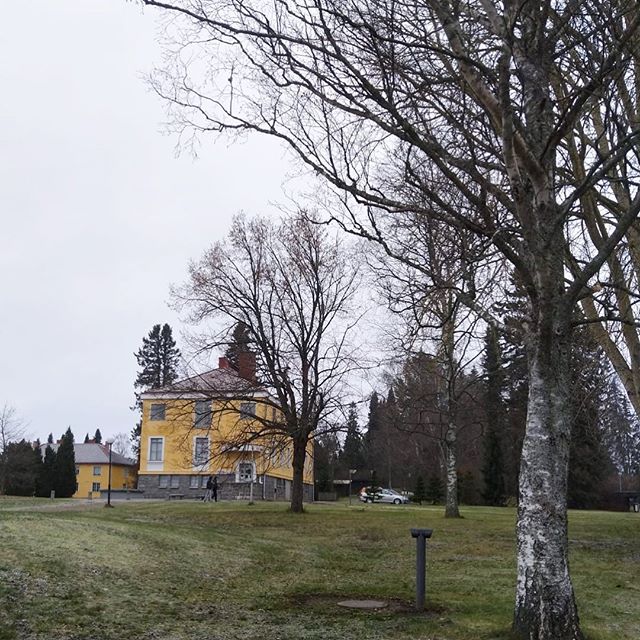 ihan-se-marraskuulta-marraskuu-nayttaa-lepaallakin%f0%9f%98%83joko-muualla-on-lunta-lepaa-lepaanayttely-marraskuu-2