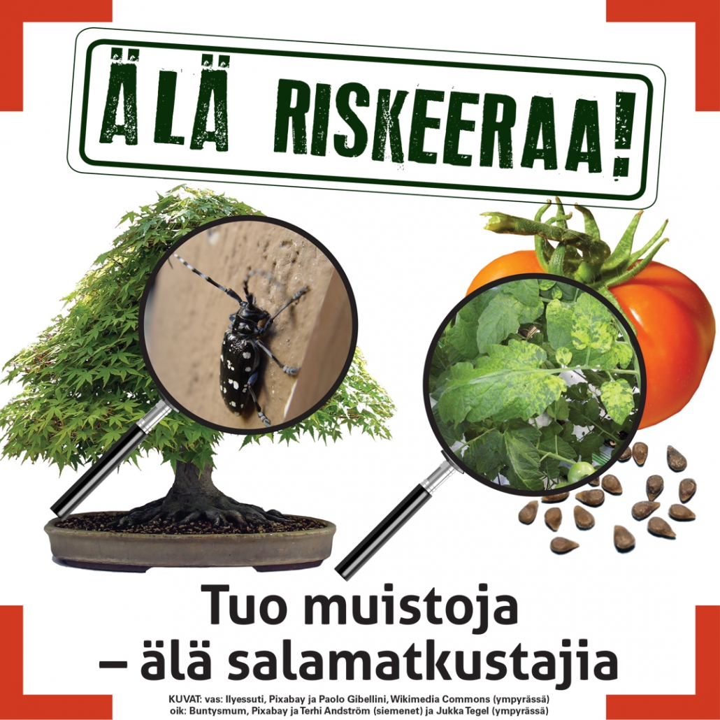 ala_riskeeraa-jpg