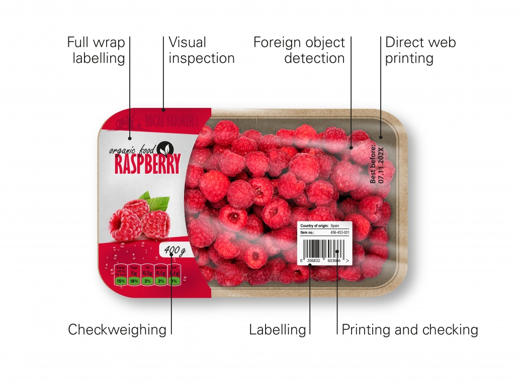 visual-inspection-description-en-jpg