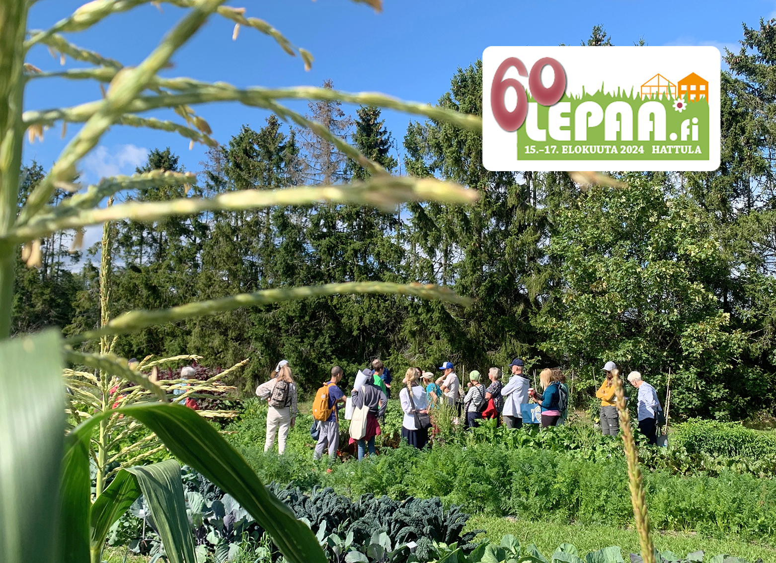 Etusivu - Lepaa.fi
