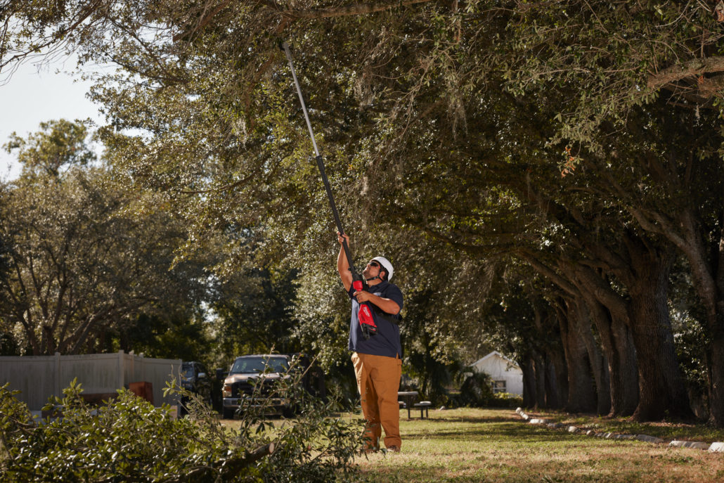 m18_blts-0-app_4-jpg