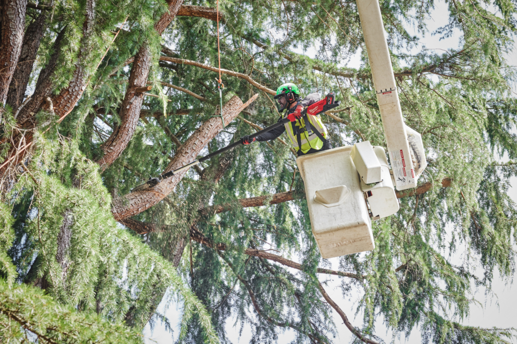 m18_ftps30-0-app_7-jpg