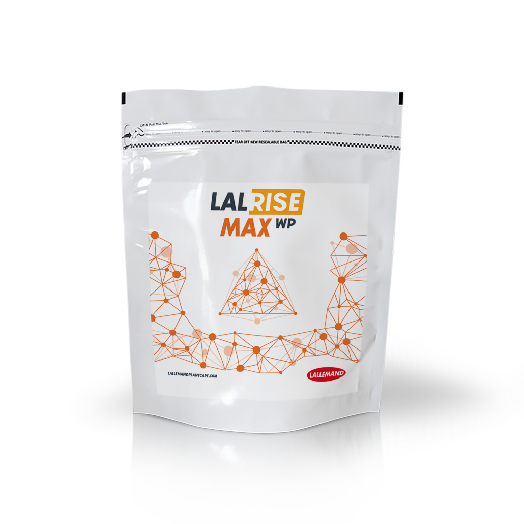 lalrise-max-200g-bag-isolated-png