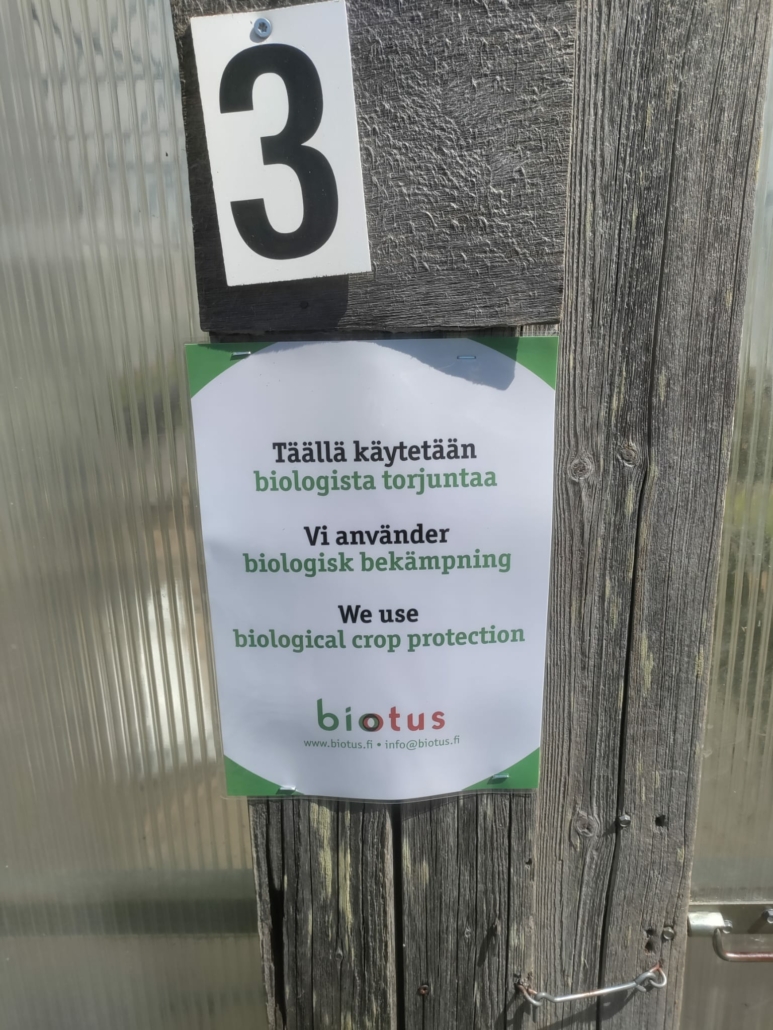 taalla-kaytetaan-biologista-torjuntaa-jpeg