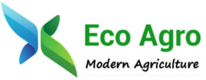 Eco Agro Division