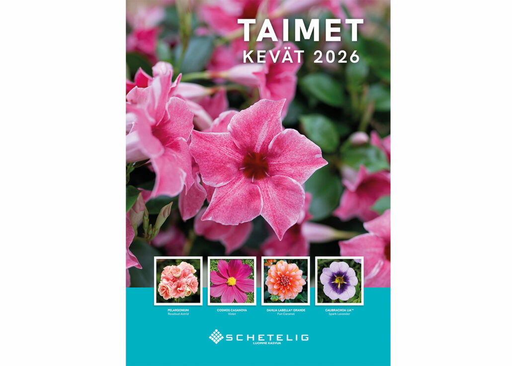 schetelig-taimet-luettelo-2026-jpg