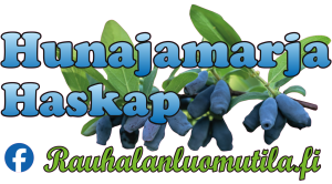 Juha Sipponen / Rauhalan tila