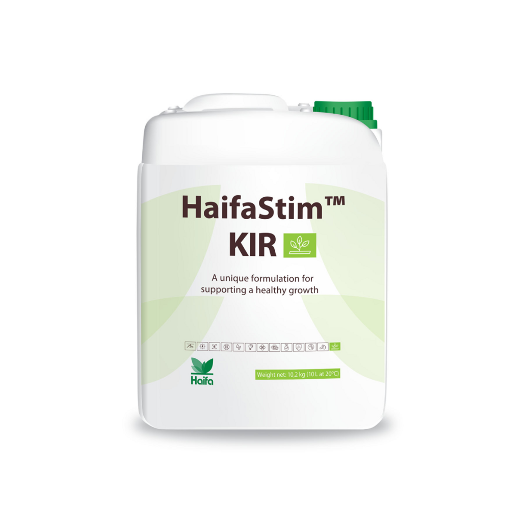 haifastim-kir-png