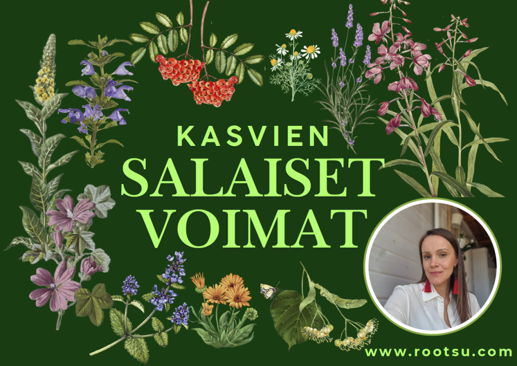 na%cc%88ytto%cc%88kuva-2026-07-28-kello-16-14-25